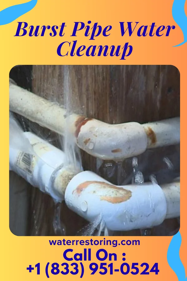 Burst Pipe Water Cleanup in Los Gatos, CA