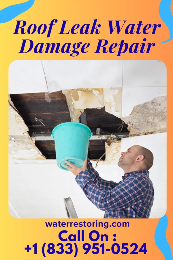 Roof Leak Water Damage Repair in Los Gatos, CA